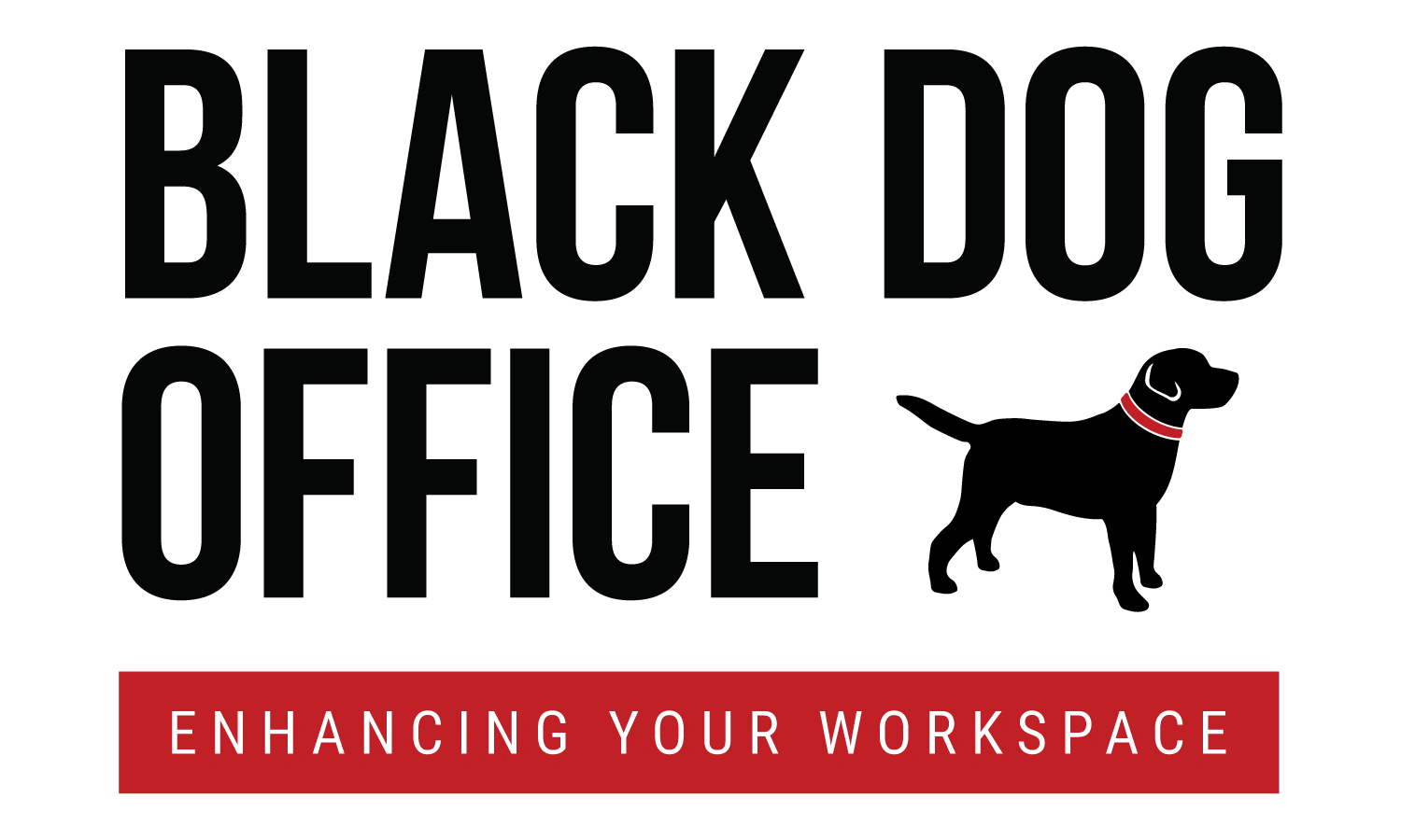 Black Dog Office What's New